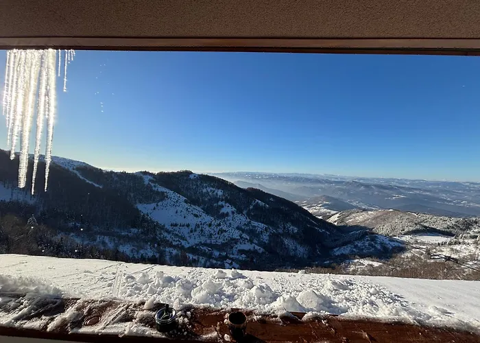 The View A74 라스카